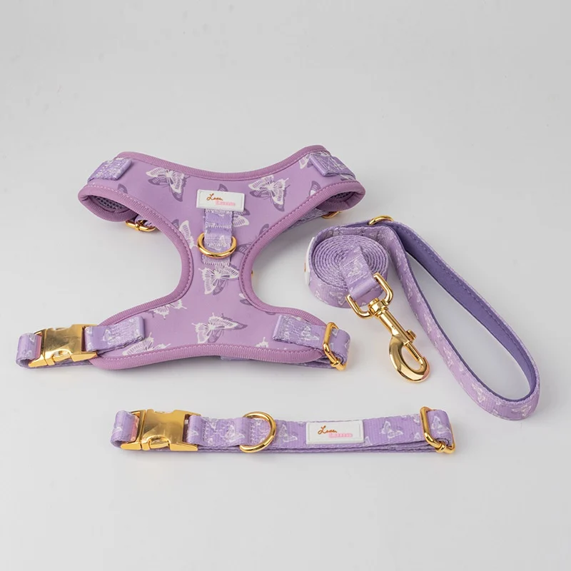 Dog Outfit Pet Extra-large Collar And Leash — image 5