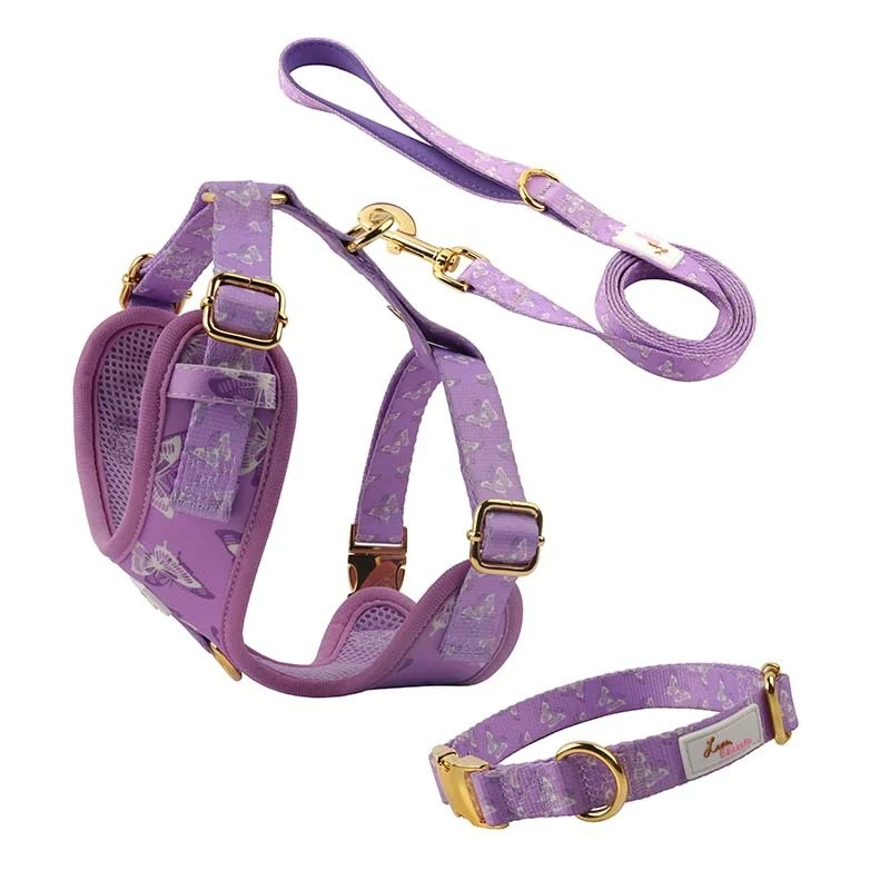 Dog Outfit Pet Extra-large Collar And Leash — image 7