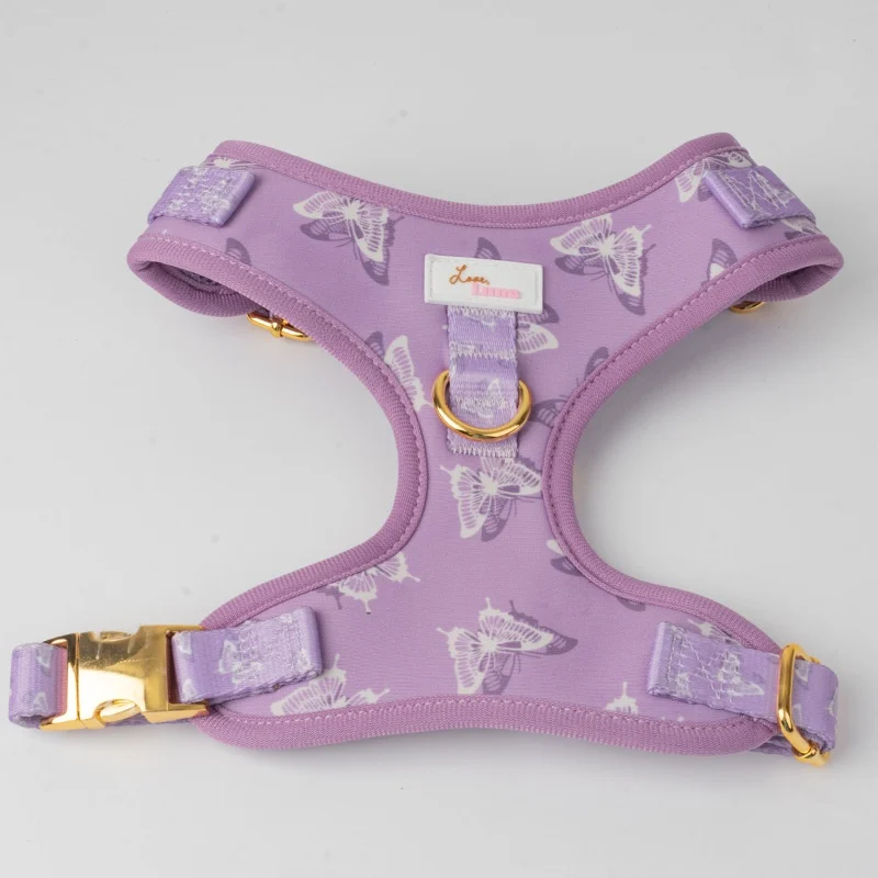 Dog Outfit Pet Extra-large Collar And Leash — image 9