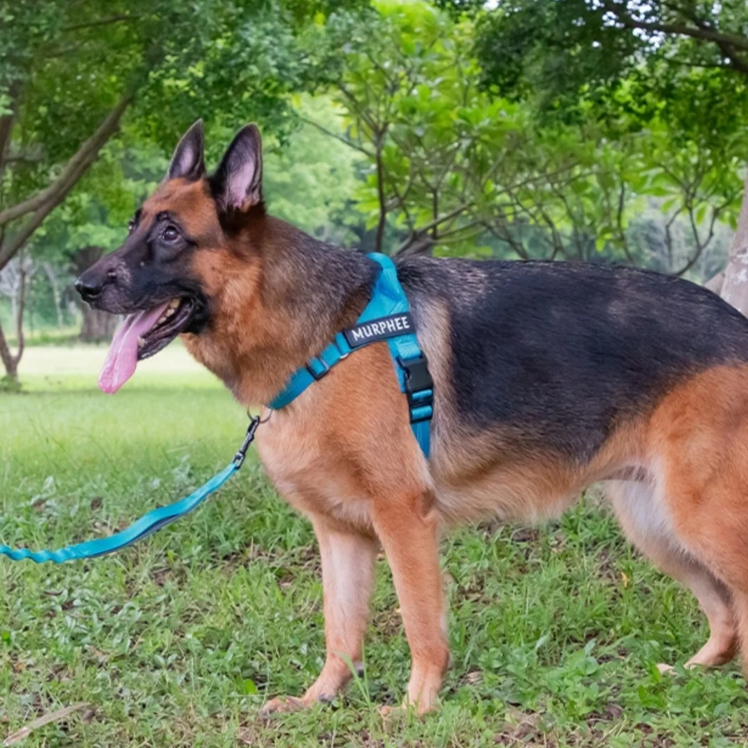 Easy-to-cover Lightweight Dog Breast Strap Hand Holding Rope — image 2