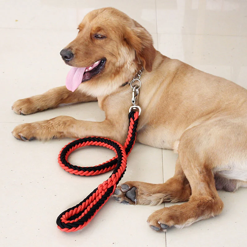 Eight-strand Nylon Leash Suitable For Medium- To Large-sized Dogs — image 8