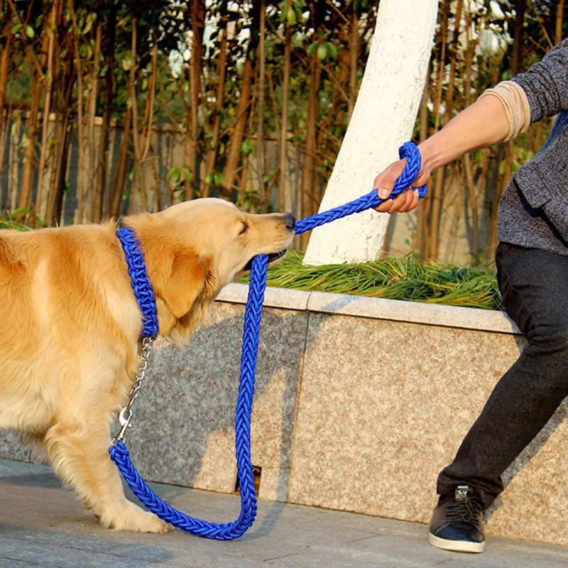 Eight-strand Nylon Leash Suitable For Medium- To Large-sized Dogs — image 2