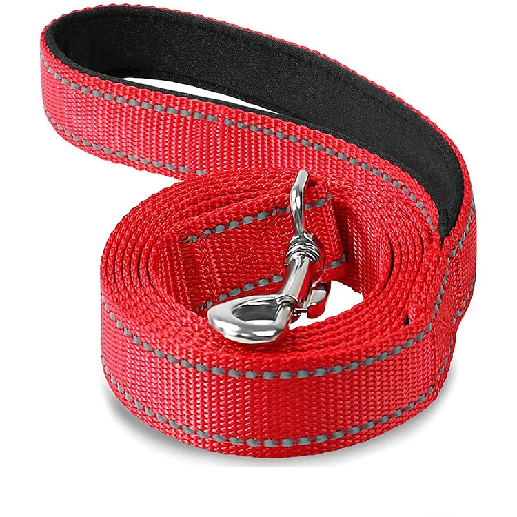 Fashionable Outdoor Nylon Pet Leash — image 5