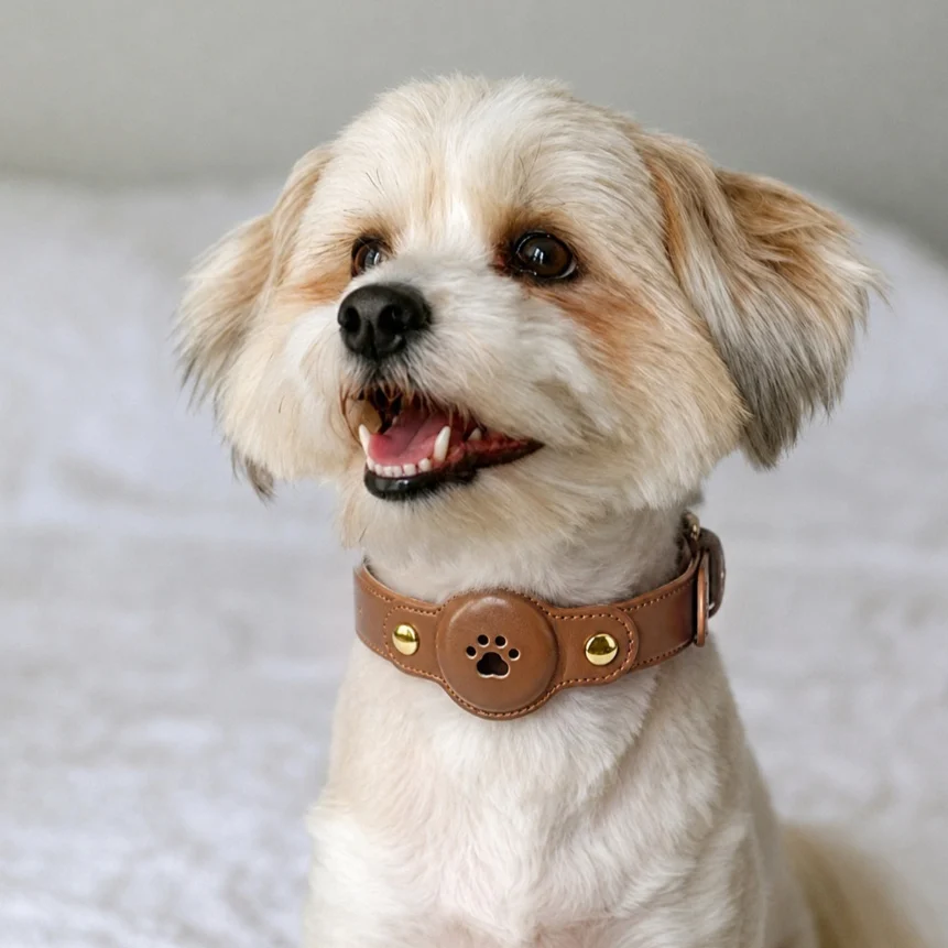 Fashionable PU Leather Pet GPS Collar — image 4