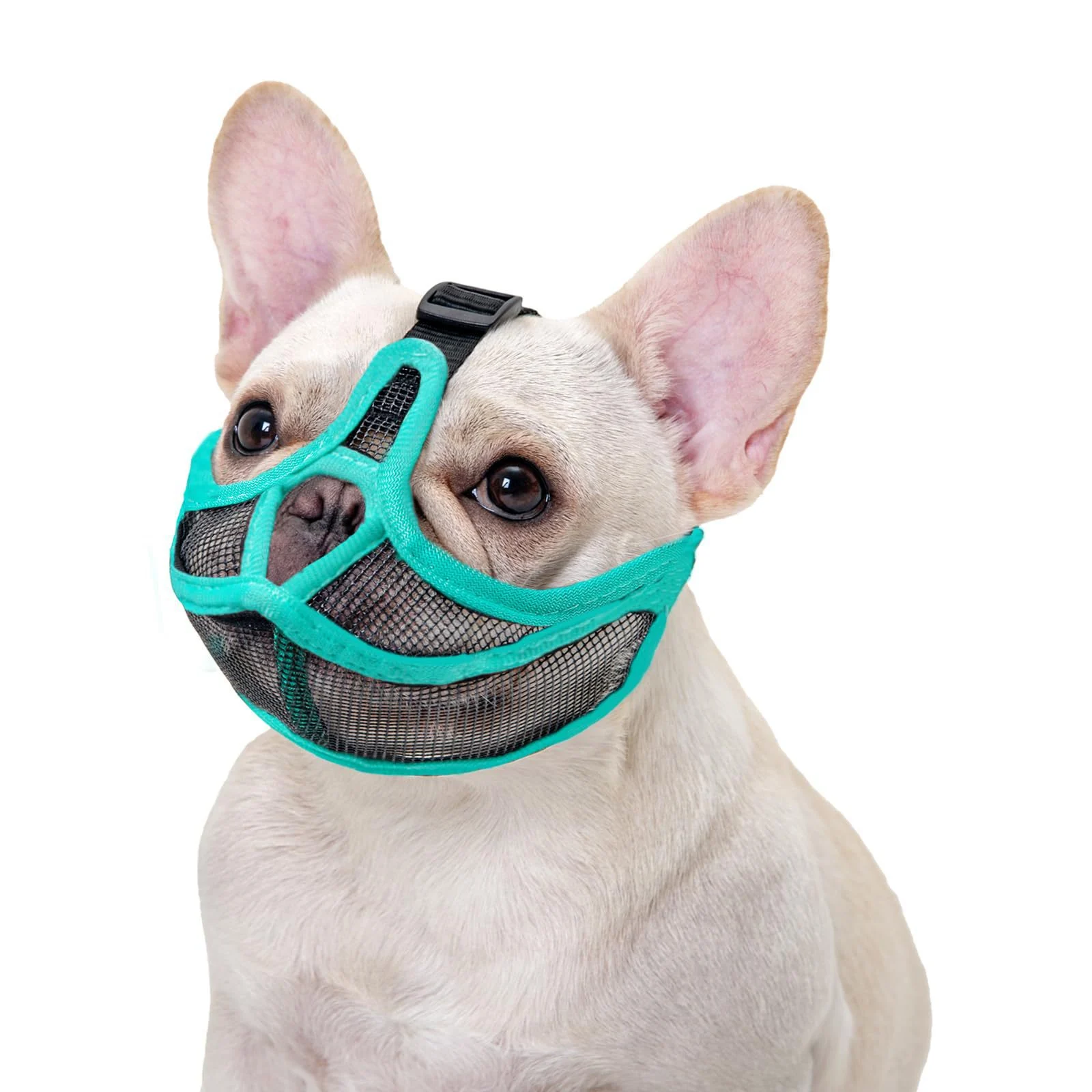 French Muzzle Anti-bite Short-snouted Breathable Pug Dog Face Mask Pet — image 5