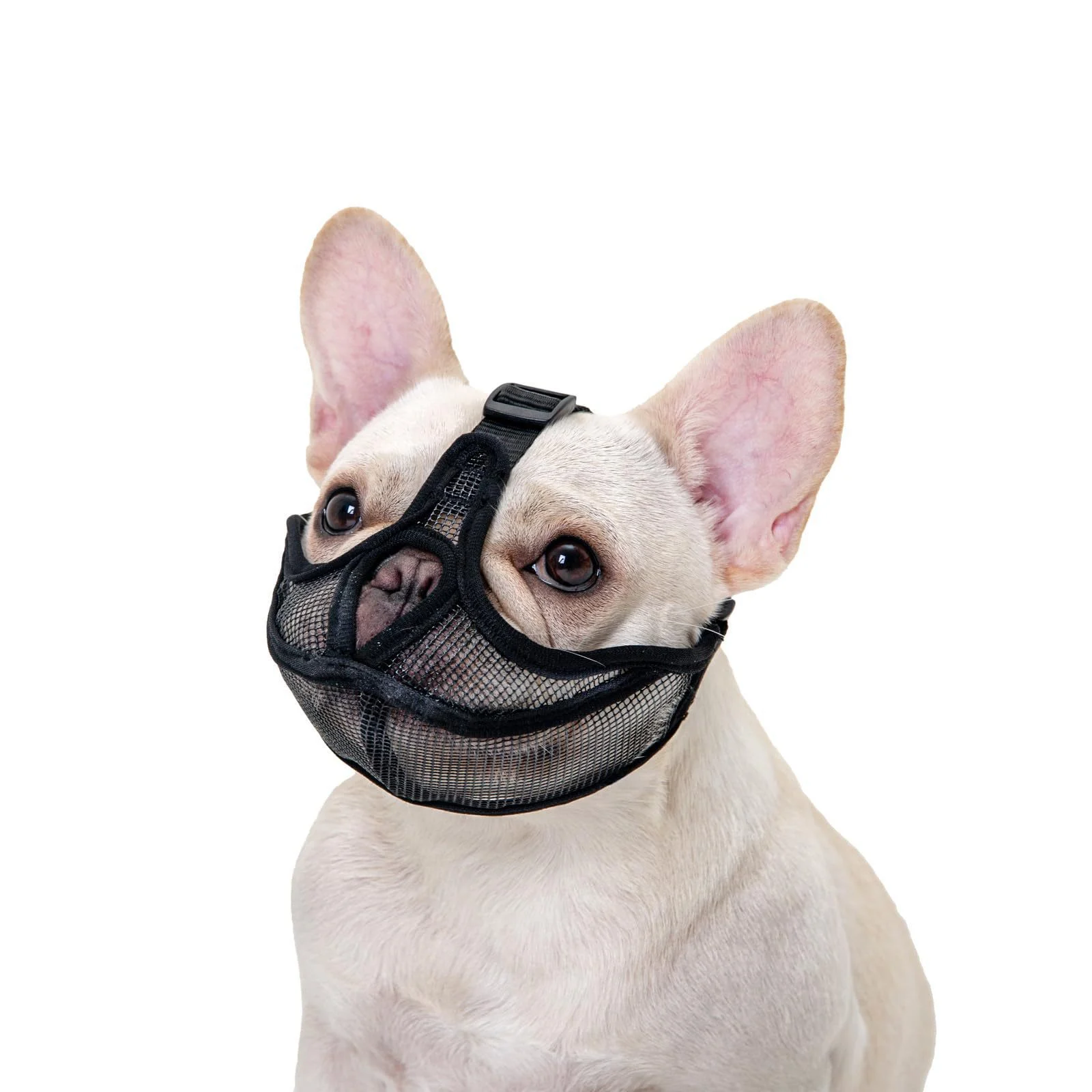 French Muzzle Anti-bite Short-snouted Breathable Pug Dog Face Mask Pet — image 1