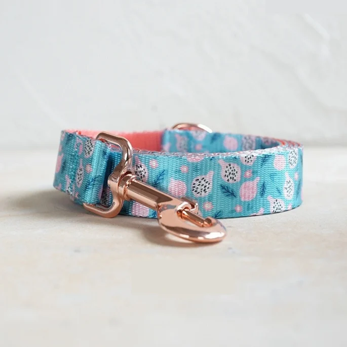 Fruit-print Pet Leash Durable Nylon With Metal Buckle — image 3