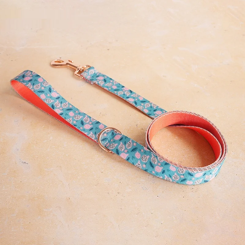 Fruit-print Pet Leash Durable Nylon With Metal Buckle — image 5