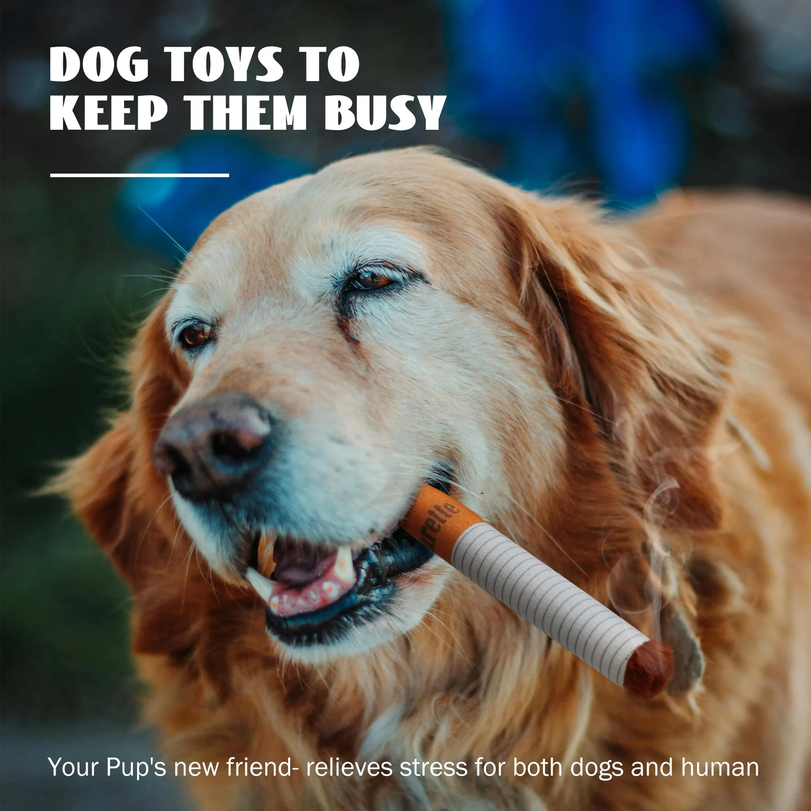 Funny Dog Toys For Small Medium Dogs, Squeaky Interactive Toy Hide And Seek Treat… — image 6