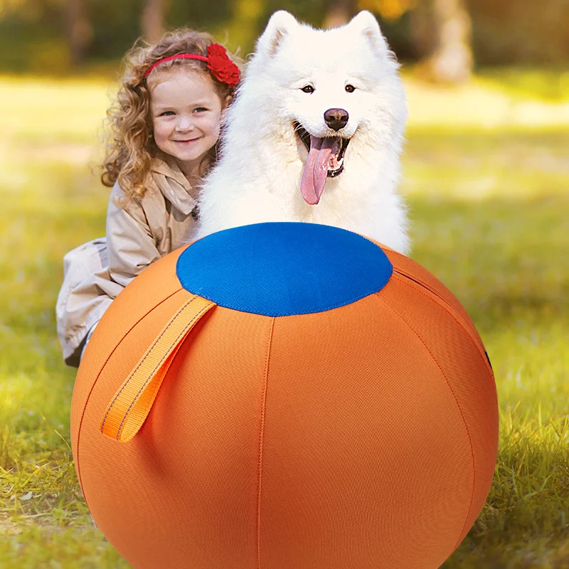 Giant Dog Ball Toy — image 3