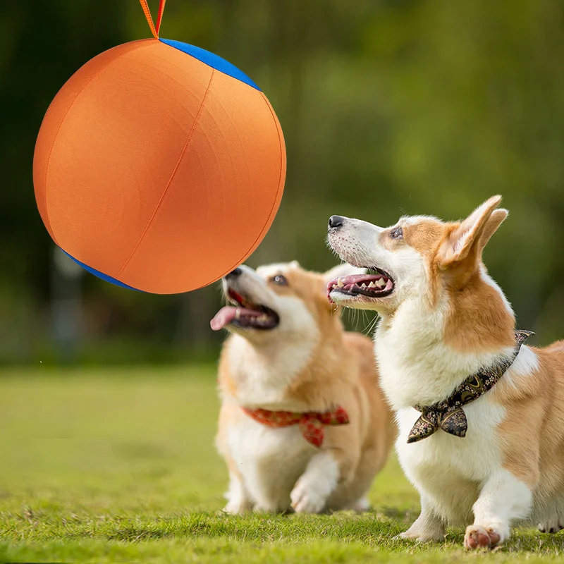 Giant Dog Ball Toy — image 2