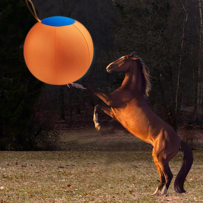 Giant Dog Ball Toy — image 6