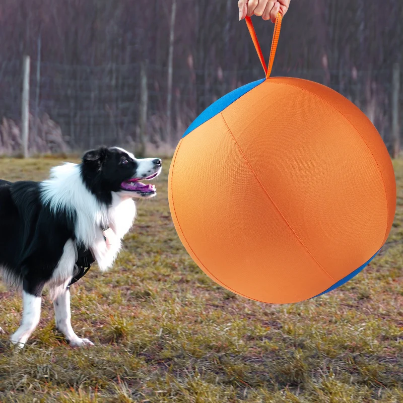Giant Dog Ball Toy — image 5
