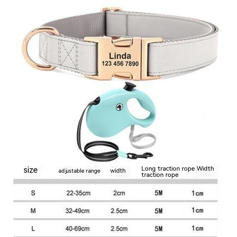 Gold Collar Dog Tag Anti Loss — variant image