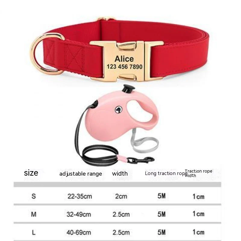 Gold Collar Dog Tag Anti Loss — image 2