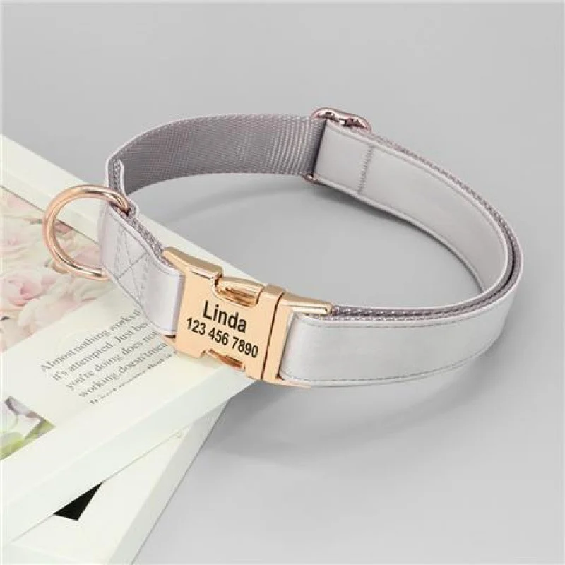 Gold Collar Dog Tag Anti Loss — variant image
