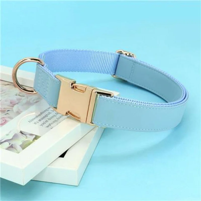 Gold Collar Dog Tag Anti Loss — image 3