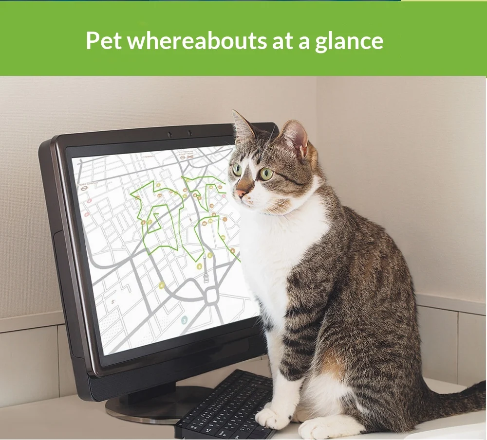 GPS Outdoor Pet Tracker & Activity Monitor — image 8