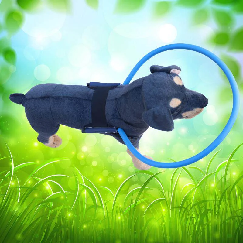 Head-protection Ring For Blind Pets To Prevent Head And Eye Injuries — image 5