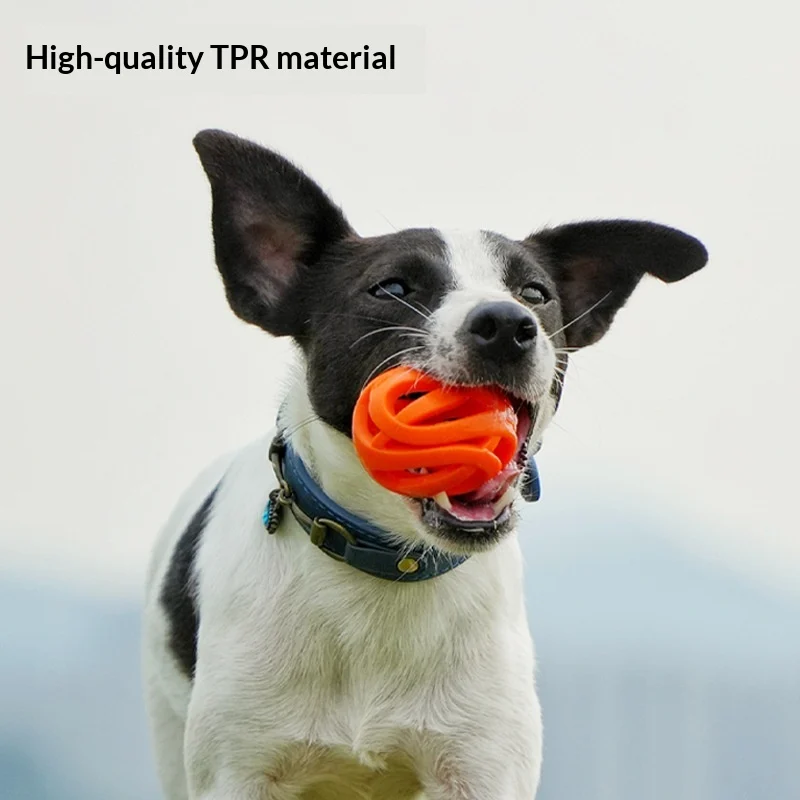 High-elasticity Chew-resistant Outdoor Dog And Pet Toy — image 1