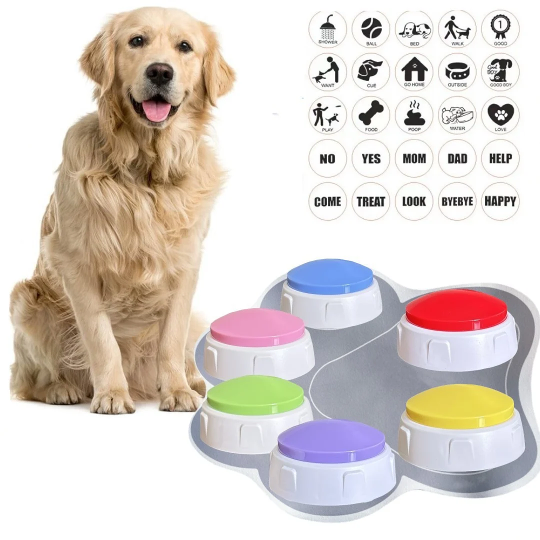 Home-use Rechargeable Pet Toy Button Trainer — image 10