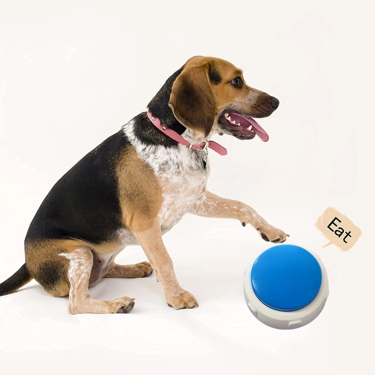 Home-use Rechargeable Pet Toy Button Trainer — image 5
