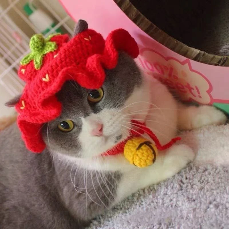 Knitted Hat For Pet Cats And Puppies — image 11