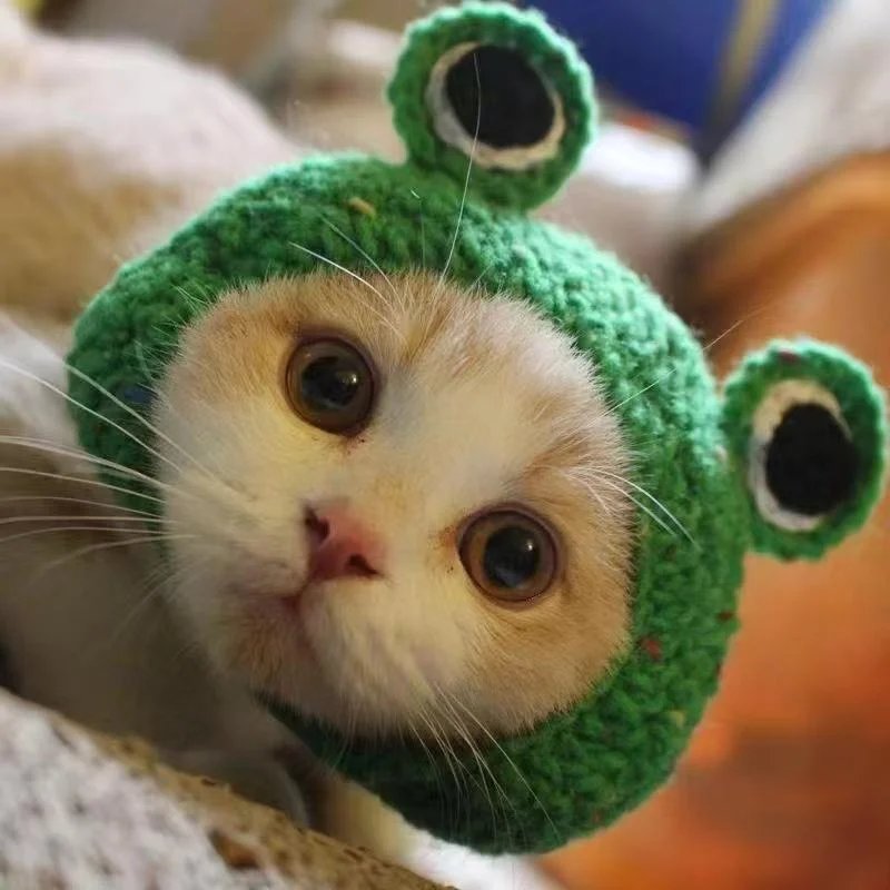 Knitted Hat For Pet Cats And Puppies — image 13