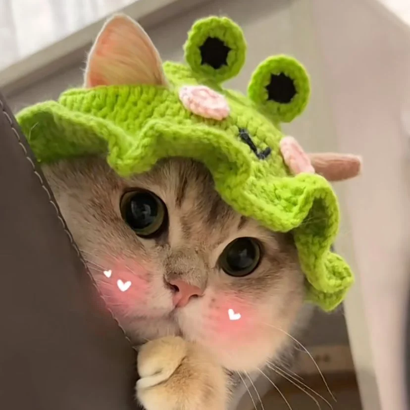 Knitted Hat For Pet Cats And Puppies — image 6