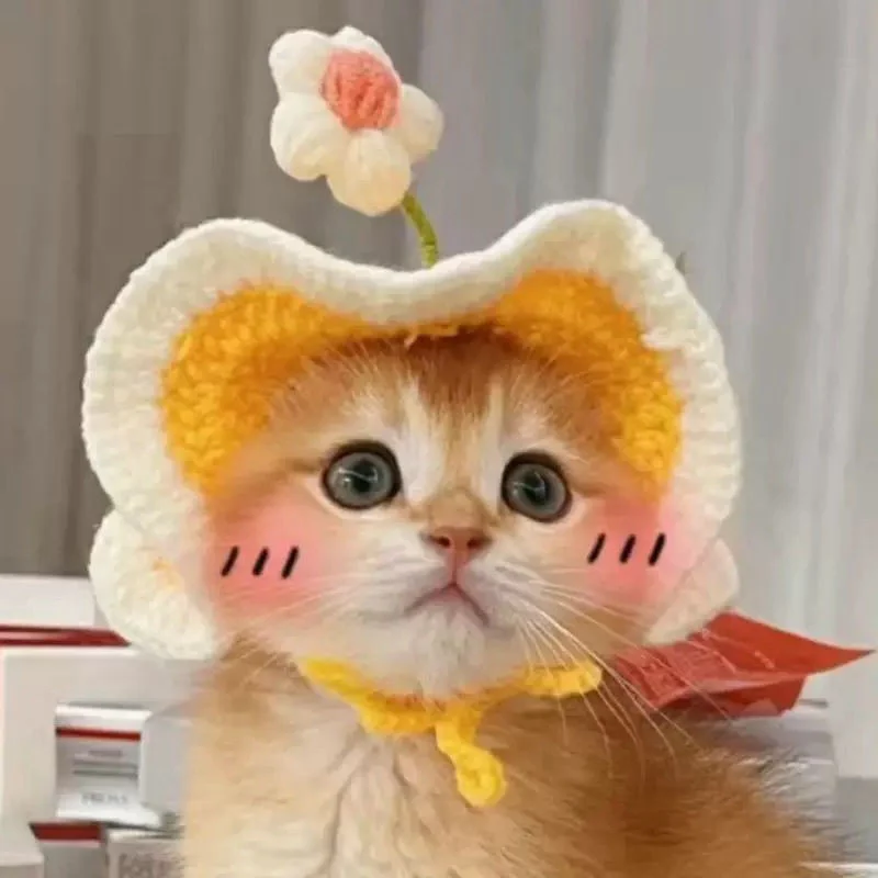 Knitted Hat For Pet Cats And Puppies — image 9