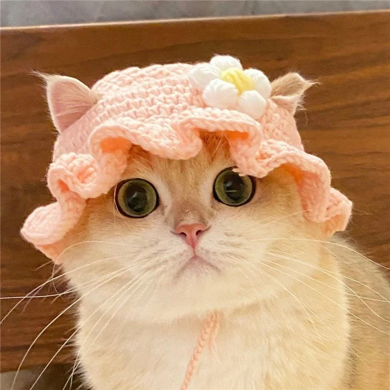 Knitted Hat For Pet Cats And Puppies — image 7