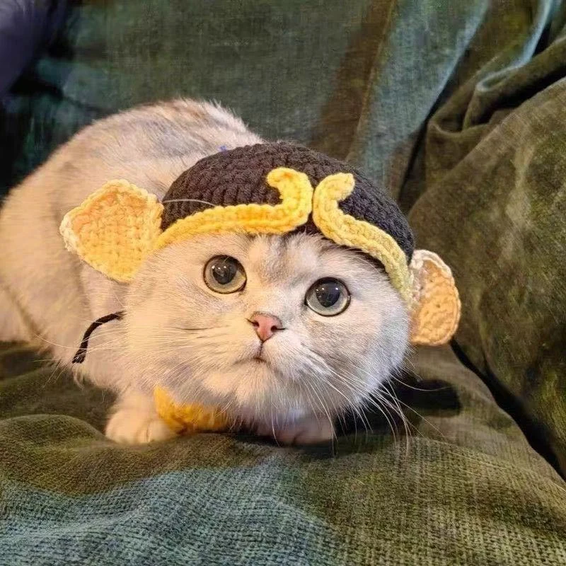 Knitted Hat For Pet Cats And Puppies — image 4