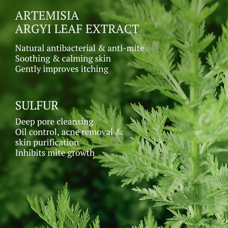 Kormesic Artemisia Annua Antibacterial And Mite Removing Soap Yellow UKQB Quick Return… — image 5