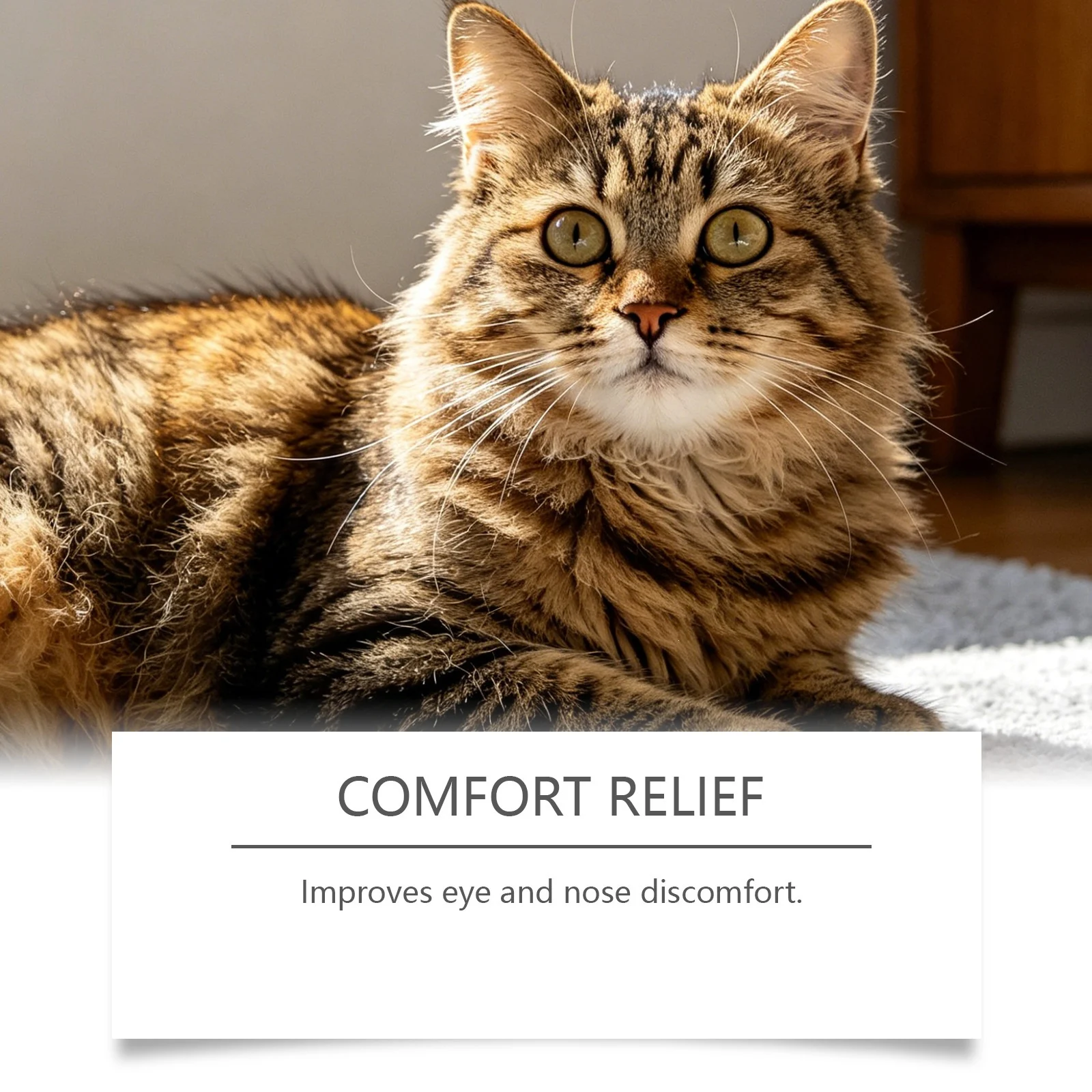 Kriath Capsules For Cats, Gentle Formula, Easy To Feed, Care The Intestines, Comfort… — image 3