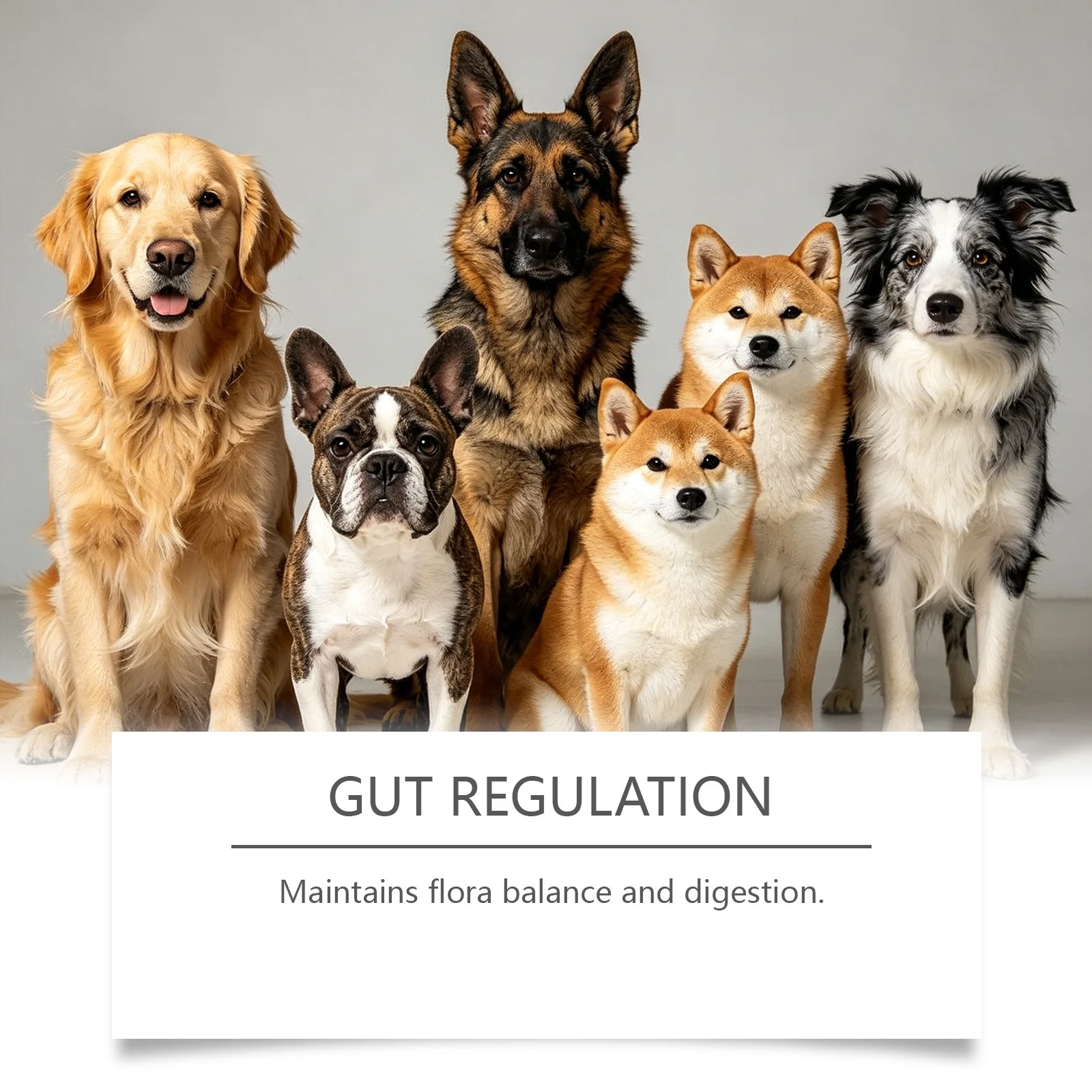 Kriath Chewable Tablets For Dogs, Daily Gentle Care The Dog's Body, Nutritional… — image 6