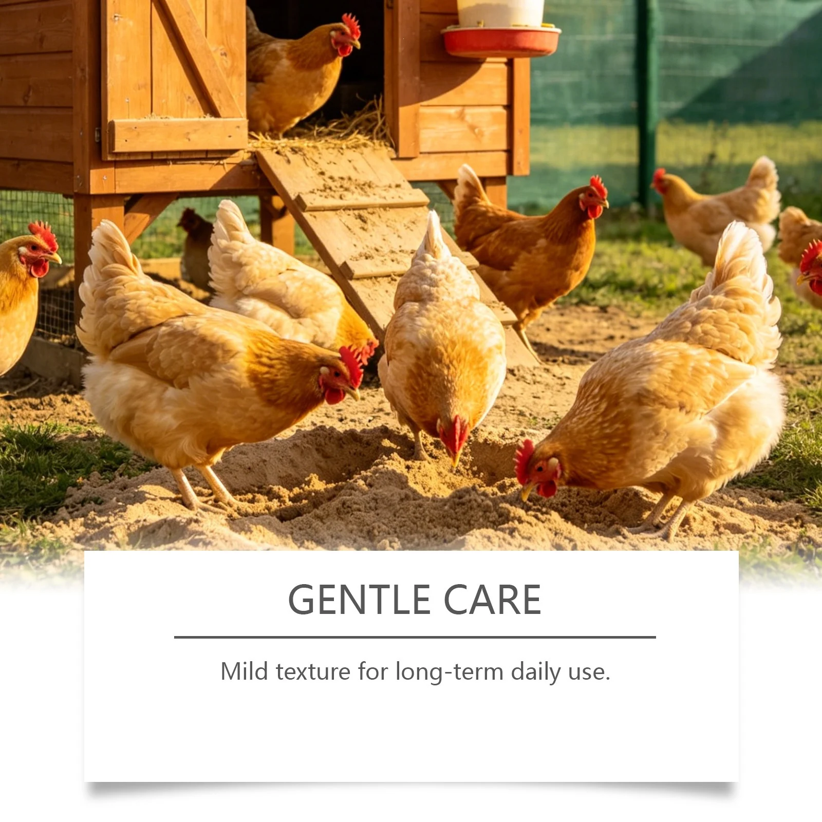 Kriath Chicken Care Supplement Nutritional And Healthy Pet Feed Additive Promotes… — image 3