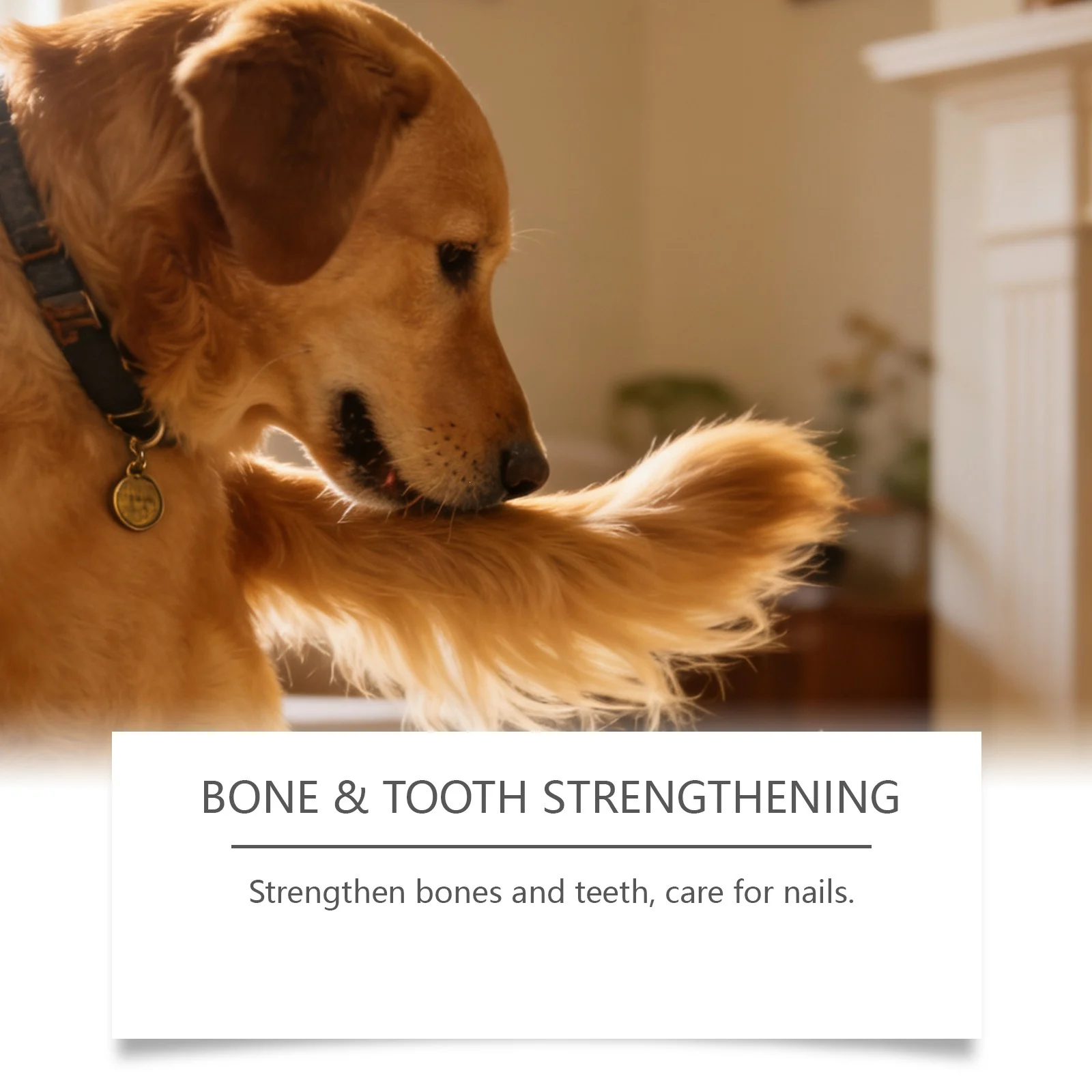 Kriath Collagen Drops For Dogs Daily Gentle Care Your Dog's Body, Body Maintenance — image 4