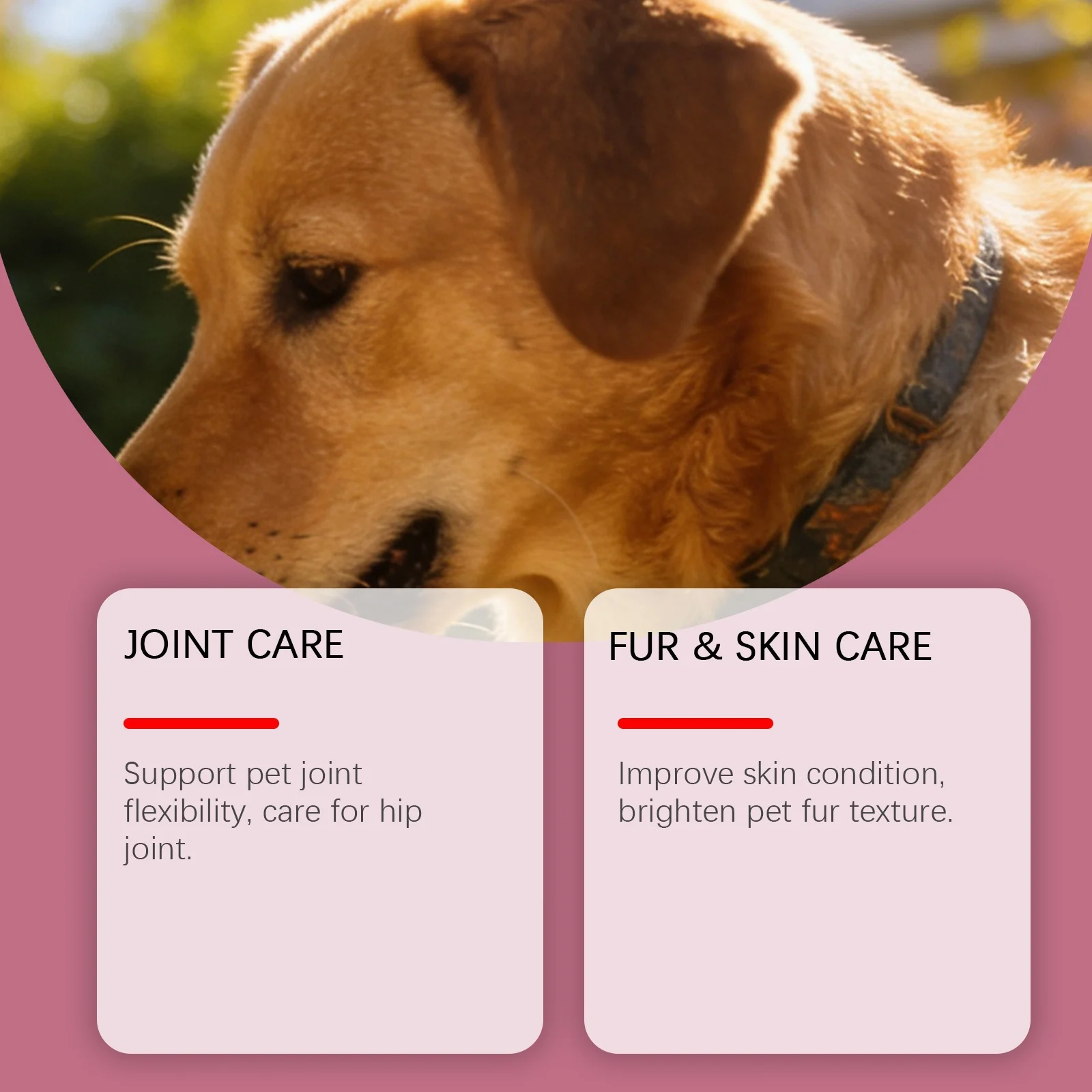 Kriath Collagen Drops For Dogs Daily Gentle Care Your Dog's Body, Body Maintenance — image 1