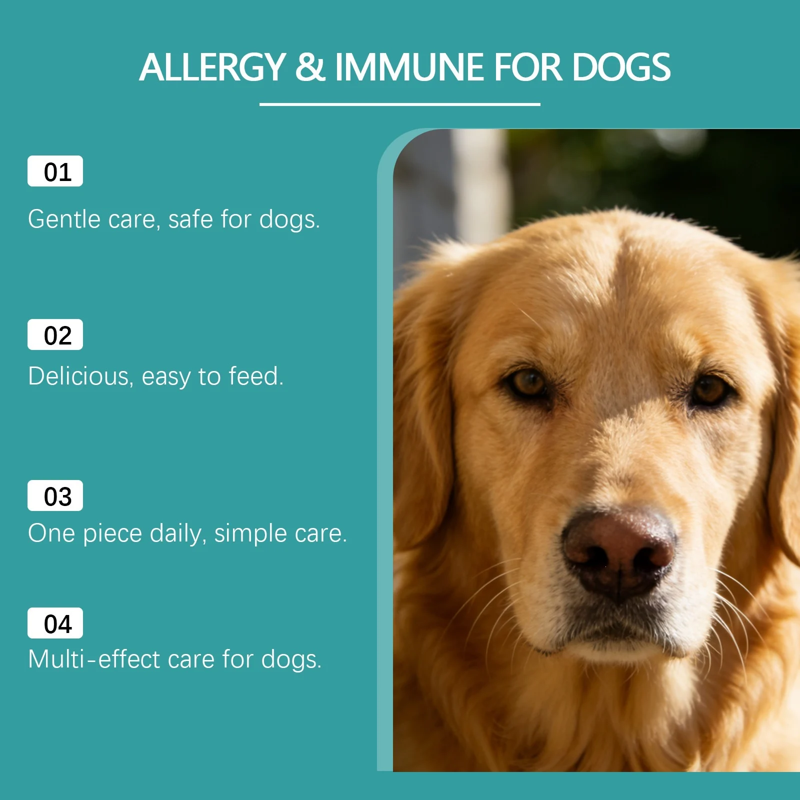 Kriath Dog Care Chewable Tablets With Mild Ingredients For Daily And Nutritional… — image 6