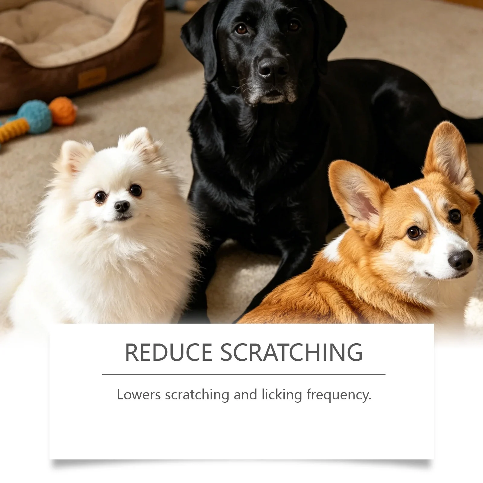 Kriath Dog Care Chewable Tablets With Mild Ingredients For Daily And Nutritional… — image 2