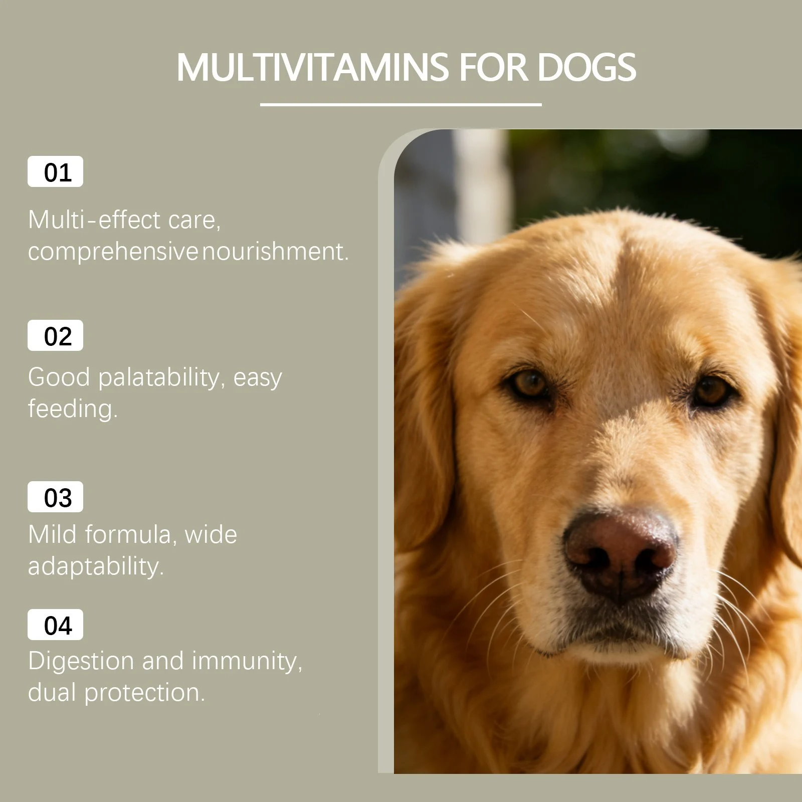 Kriath Dog Multivitamin Chewable Tablets Mild Formula For Daily Care Of Body Balance… — image 3