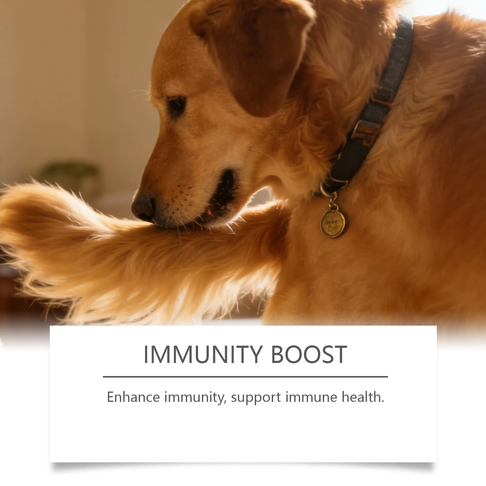 Kriath Dog Multivitamin Chewable Tablets Mild Formula For Daily Care Of Body Balance… — image 4