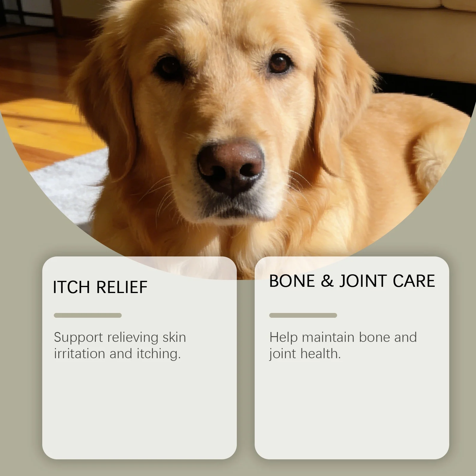 Kriath Dog Multivitamin Chewable Tablets Mild Formula For Daily Care Of Body Balance… — image 2