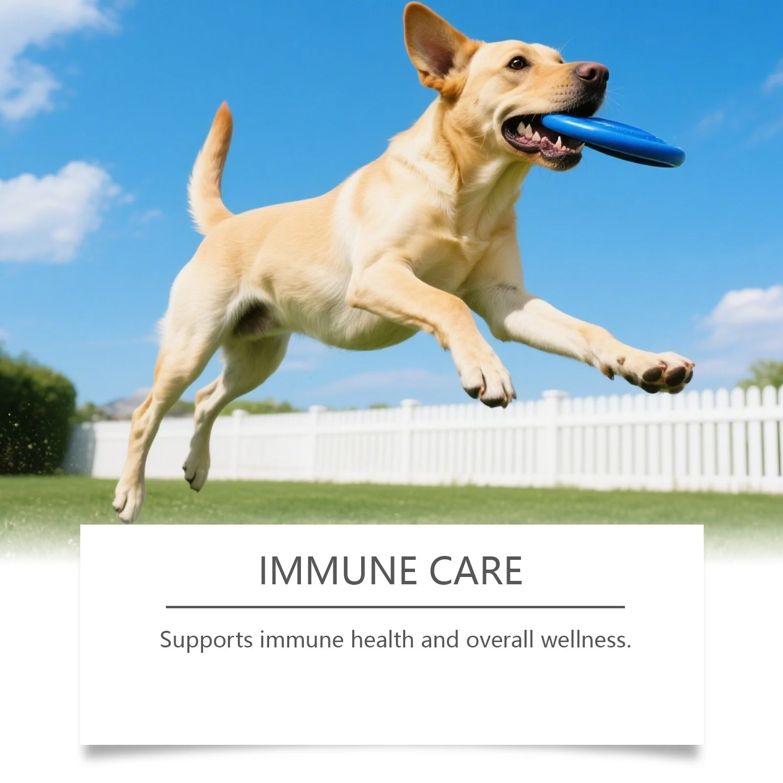 Kriath Dog Probiotic Chewable Tablets Are Formulated To Gently Care For Dogs And Used… — image 5