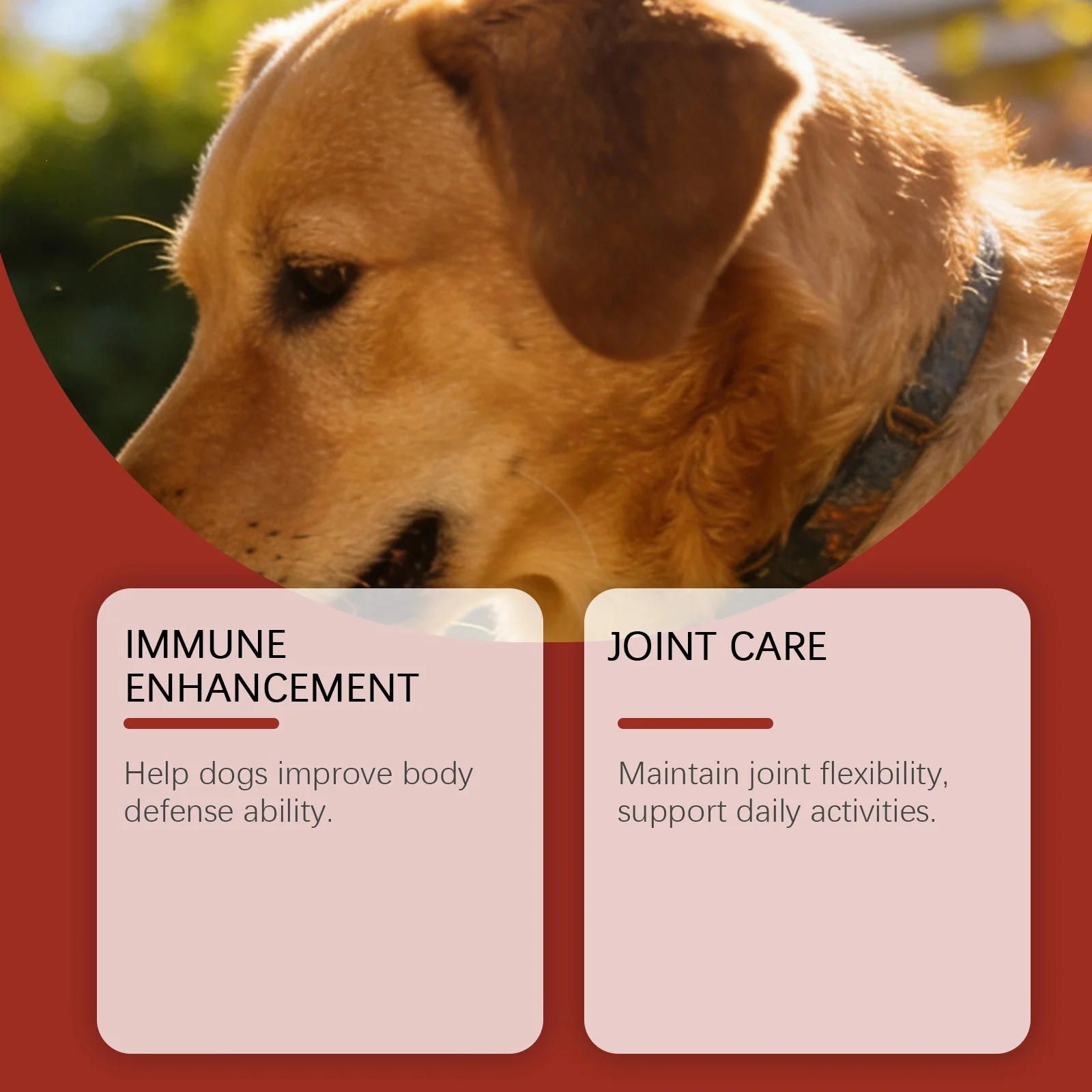 Kriath Mushroom Chewable Tablets For Dogs, Dog Dietary Nutritional Tablets, Daily… — image 2