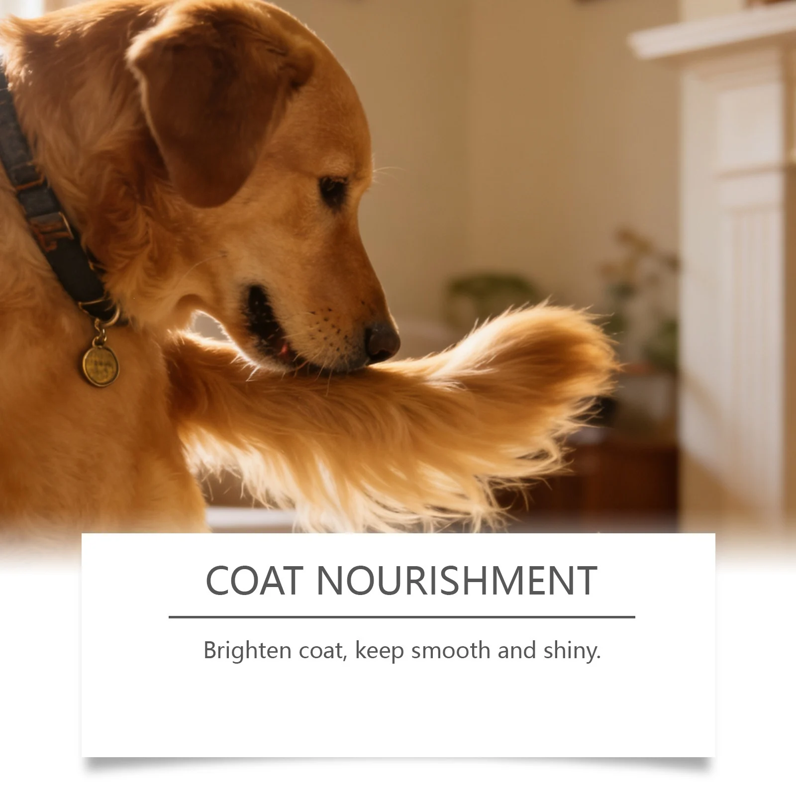 Kriath Mushroom Chewable Tablets For Dogs - Mild Formula Daily Care And Nutritional… — image 2