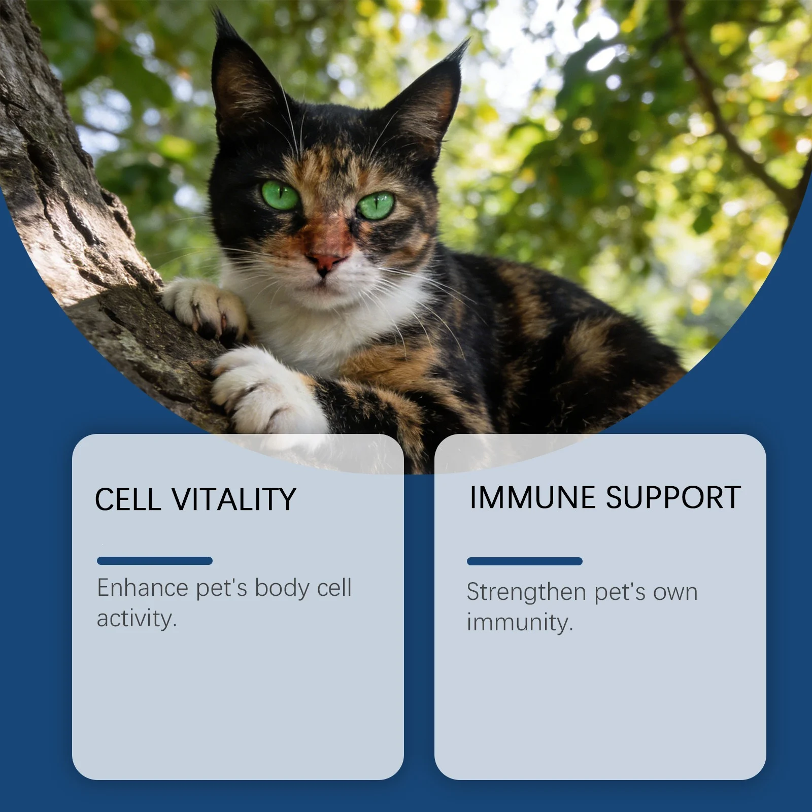 Kriath Pet Care Supplement Capsules With Mild Ingredients Suitable For Cats And Dogs… — image 3
