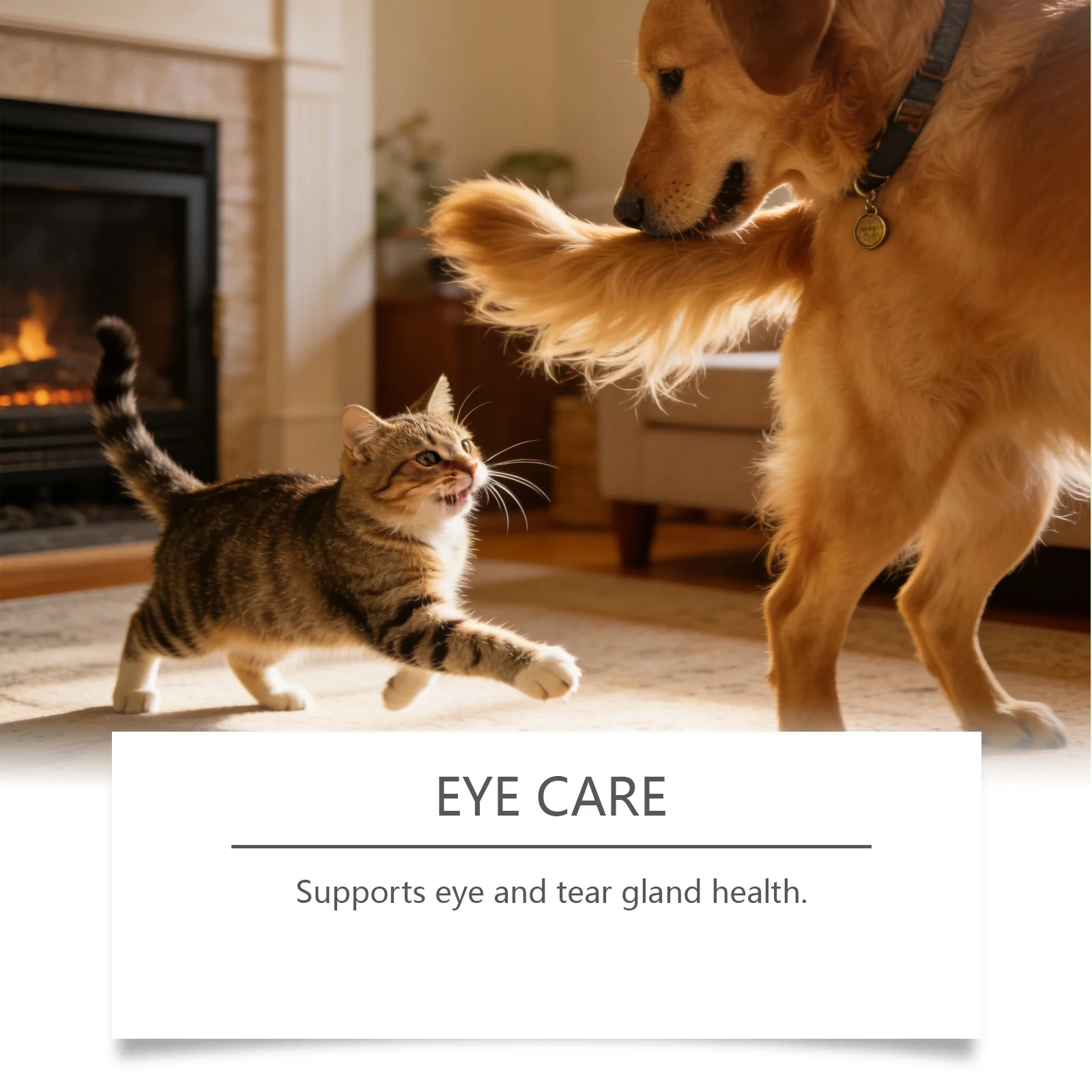 Kriath Pet Eye Oral Liquid Gentle Formula Keeps Eyes Clean, Ideal For Daily Care — image 5