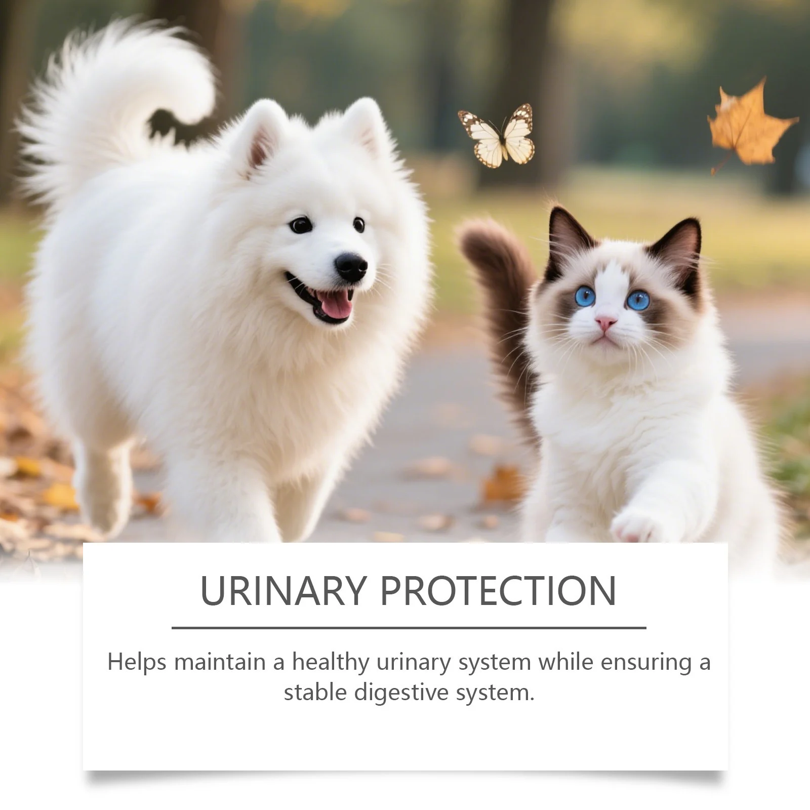 Kriath Pet Herbal Care Oral Liquid Is A Gentle And Nourishing Drop That Comforts Cats… — image 2