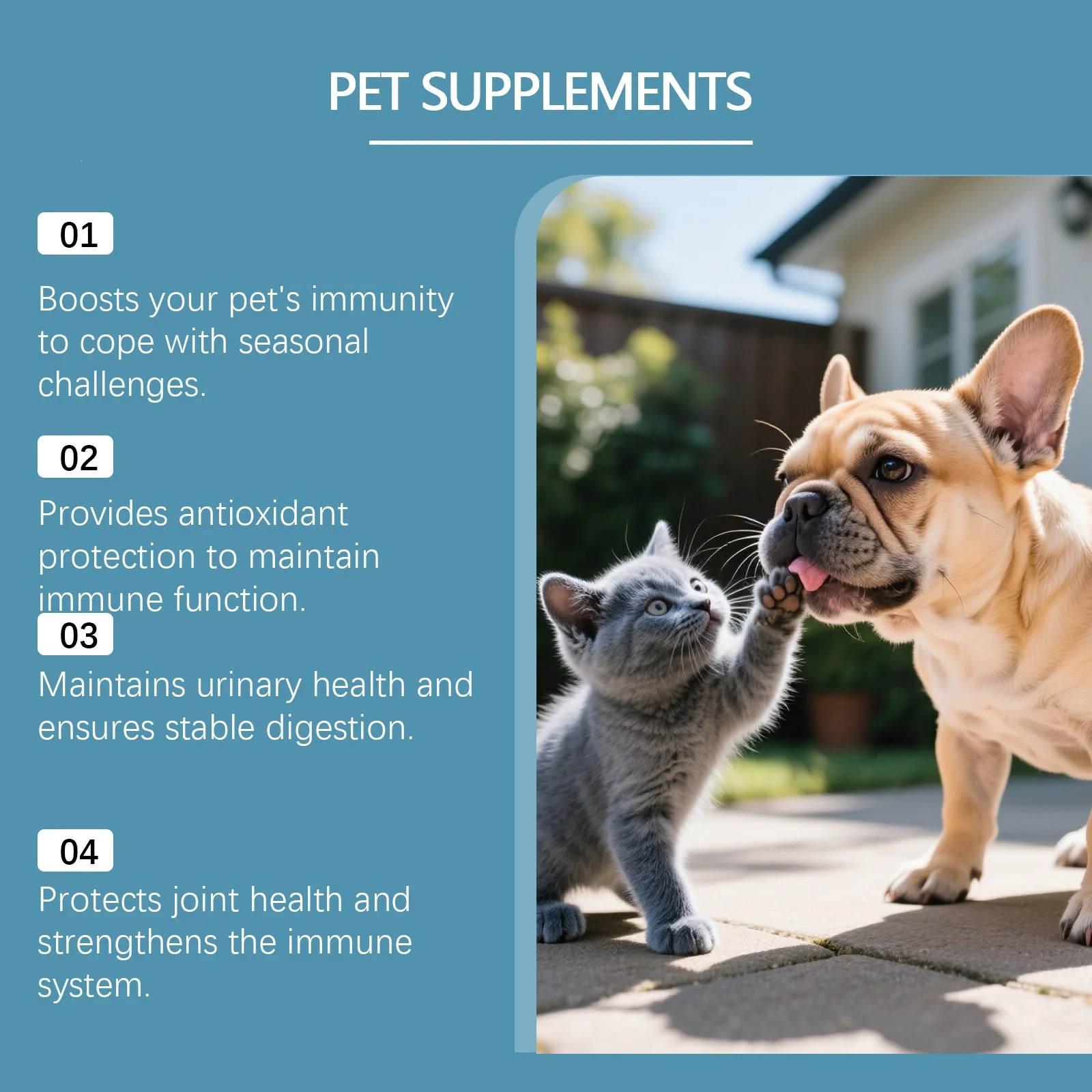 Kriath Pet Herbal Care Oral Liquid Is A Gentle And Nourishing Drop That Comforts Cats… — image 3